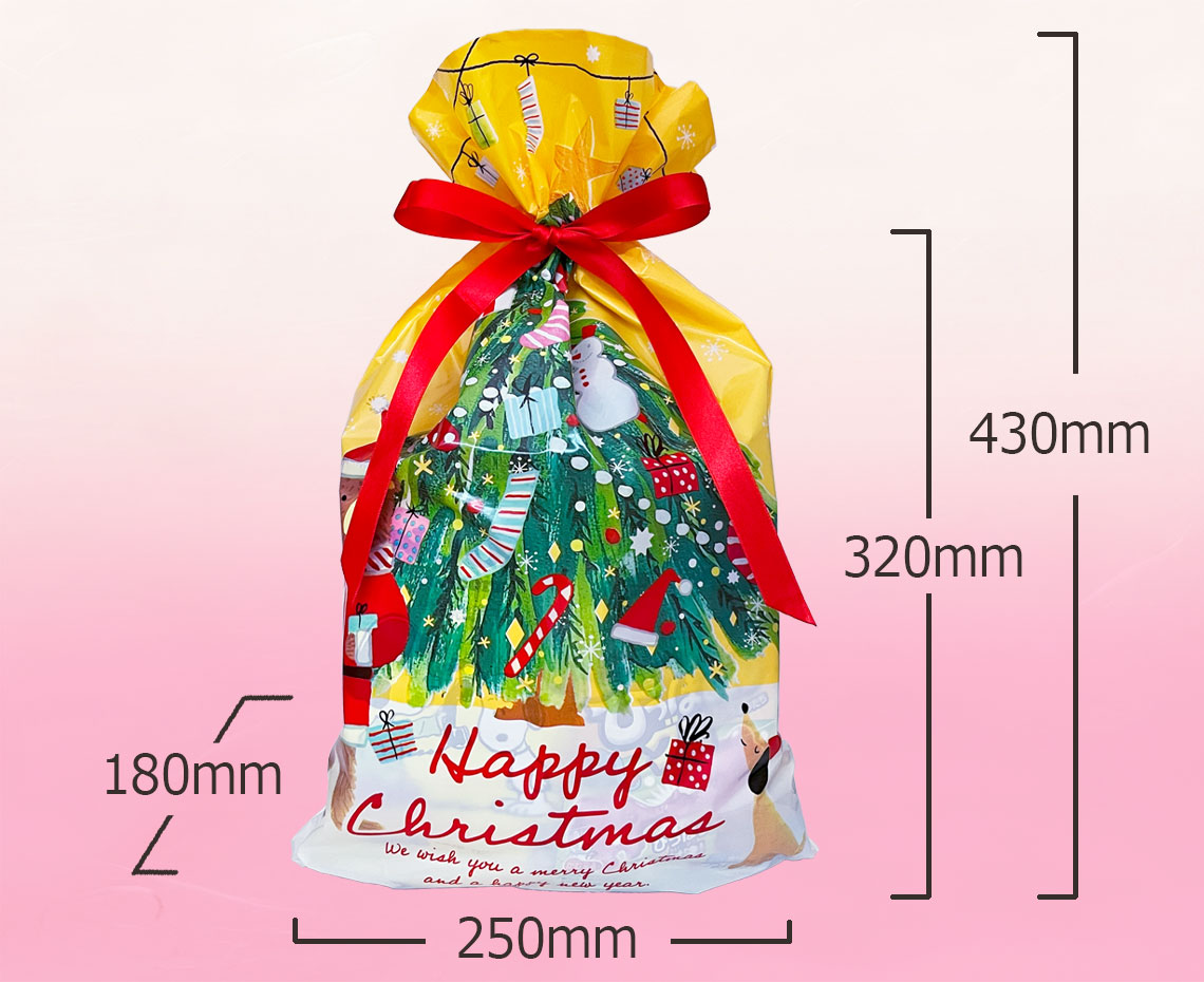 クリスマスおかし詰め合わせ【Ｄ】